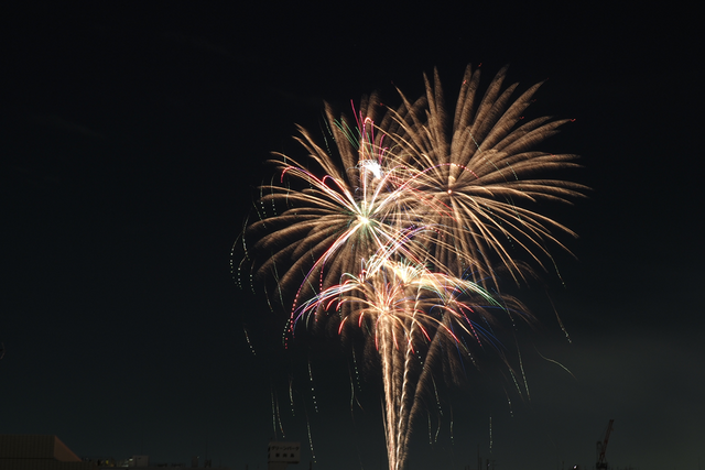 隅田川花火大会鑑賞会を開催しました！! - 画像4